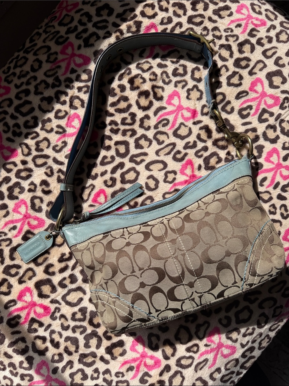 Vintage Coach shoulder bag